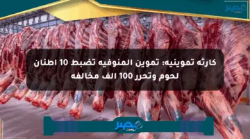 كارثة تموينية: تموين المنوفية تضبط 10 أطنان لحوم وتحرر 100 ألف مخالفة